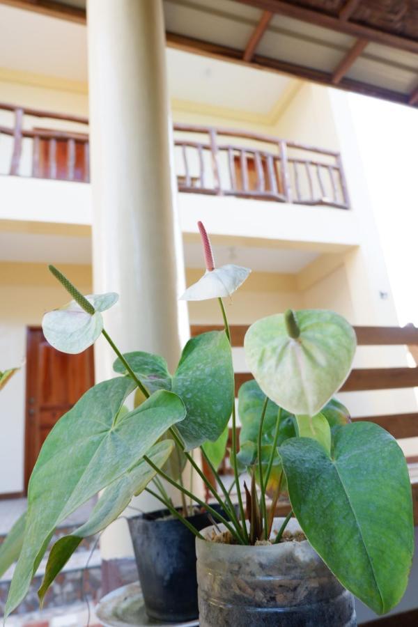 Tlshaw Homestay General Luna  Exterior foto